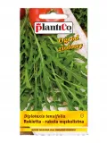 plantico-rokietta-siewna-styl-ogrod-wiejski