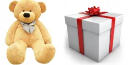 duzy-wielki-mis-pluszowy-160cm-classico-pakowanie