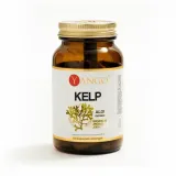 yango-kelp-100-kaps