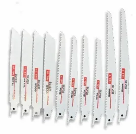 brzeszczoty-do-pily-szblastej-10-szt-silver