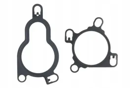 zestaw-uszczelek-zaworu-egr-elring-929-120