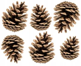 szyszki-naturalne-na-choinke-stroik-dekoracja-swiateczna-ozdoba-susz