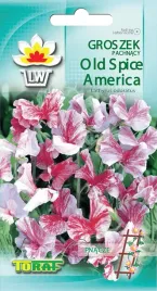 groszek-pachnacy-ozdobny-old-spice-america-czerwony-1g-toraf-nasiona