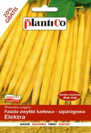 fasola-elektra-zolta-karlowa-plantico-40g-nasiona-fasoli-bardzo-wczesna