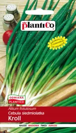 cebula-siedmiolatka-kroll-plantico-2g-nasiona-cebuli-lagodna-wieloletnia