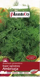 koper-ambrozja-odmiana-wczesna-plantico-5g-nasiona-kopru-ogrodowego