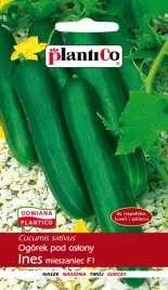 ogorek-ines-f1-salatkowy-krotki-pod-oslony-plantico-1g-nasiona-ogorka
