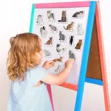 magnesy-rasy-kotow-wysokosc-produktu-7-cm