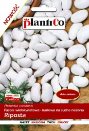 fasola-riposta-wielkokwiatowa-na-suche-nasiona-50g-plantico-biale-kwiaty
