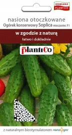 ogorek-konserwowy-soplica-nasiona-otoczkowane-plantico-sredniowczesny