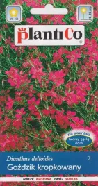 gozdzik-kropkowany-czerwony-05g-plantico-nasiona-gozdzika-pachnacego