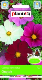 onetek-cosmos-mieszanka-mix-plantico-2g-nasiona-onetka-roznobarwne-kwiaty