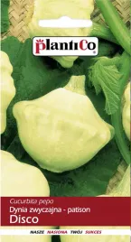 dynia-zwyczajna-patison-disco-2g-plantico-nasiona-dyni-odmiana-wczesna