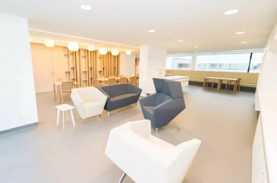 adler-bejca-arova-spritzbeize-maron-09l