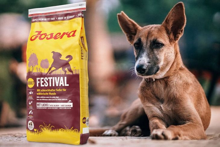 Trockenfutter Josera Festival Josera Adult Festival Lachs & Huhn Gnstig  Kaufen Hundefutter Mit Soe Lachs