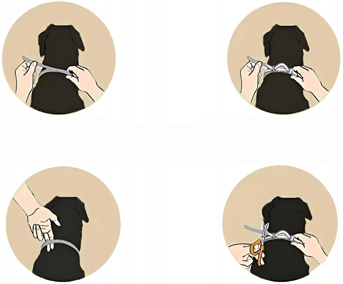 obroza-na-kleszcze-i-pchly-dla-duzego-psa-antykleszczowa-8-miesiecy