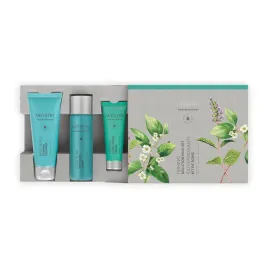 ujedrniajacy-mini-zestaw-podrozny-artistry-skin-nutrition