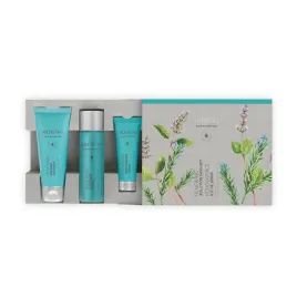regenerujacy-mini-zestaw-podrozny-artistry-skin-nutrition