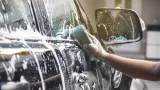 waxpro-shaggy-microfiber-wheel-brush-producent-waxpro
