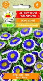 aster-wysoki-pomponowy-blue-moon-05g-toraf-nasiona-astra-niebieskiego
