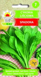 cykoria-lisciowa-spadona-5g-toraf-nasiona-cykorii-do-wielokrotnego-zbioru