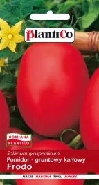 pomidor-gruntowy-frodo-1g-plantico-nasiona-pomidora-odmiana-sredniowczesna