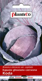 kapusta-glowiasta-czerwona-koda-1g-plantico-nasiona-kapusty-odmiana-wczesna
