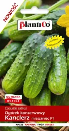 ogorek-kanclerz-f1-konserwowy-sredniowczesny-nasiona-5g-plantico