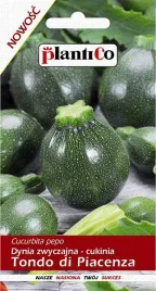 cukinia-tondo-di-piacenza-dynia-zwyczajna-nasiona-cukinii-plantico-2g