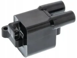 cewka-zaplonowa-ngk-48374