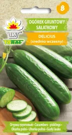 ogorek-gruntowy-salatkowy-delicius-nasiona-ogorka-toraf-5g
