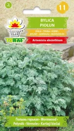 bylica-piolun-ziolo-nasiona-bylicy-toraf-0-3g-wieloletnia-lecznicza