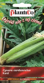 kard-ivory-white-avorio-bianco-nasiona-kardu-plantico-1g-wieloletni