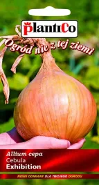 cebula-exhibition-biala-lagodna-nasiona-cebuli-plantico-1g-odmiana-wczesna