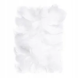 biale-dekoracyjne-piorka-5-12cm-dpcraft-kreatywne-diy-scrapbooking-piora