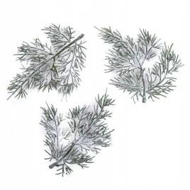 galazki-tuji-ozdobne-13-cm-3-szt