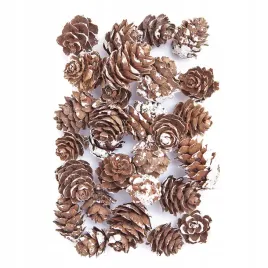 mini-szyszki-bielone-dekoracyjne-25-g-ozdobne
