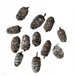 mini-szyszki-dekoracyjne-12-szt-bielone-dpcraft
