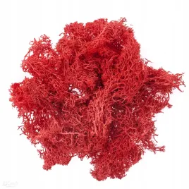 mech-czerwony-30g-dpcraft-ozodbny-dekoracyjny-naturalny-czerwien-red-diy