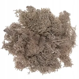 mech-brazowy-30-g-dpcraft-naturalny-wypelniacz-home-decor-dekoracyjny-diy