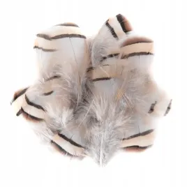 piora-bazanta-ozdobne-piorka-5-7cm-15szt-dpcraft-piorka-naturalne-bazant