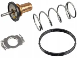febi-bilstein-172432-termostat-plyn-chlodzacy