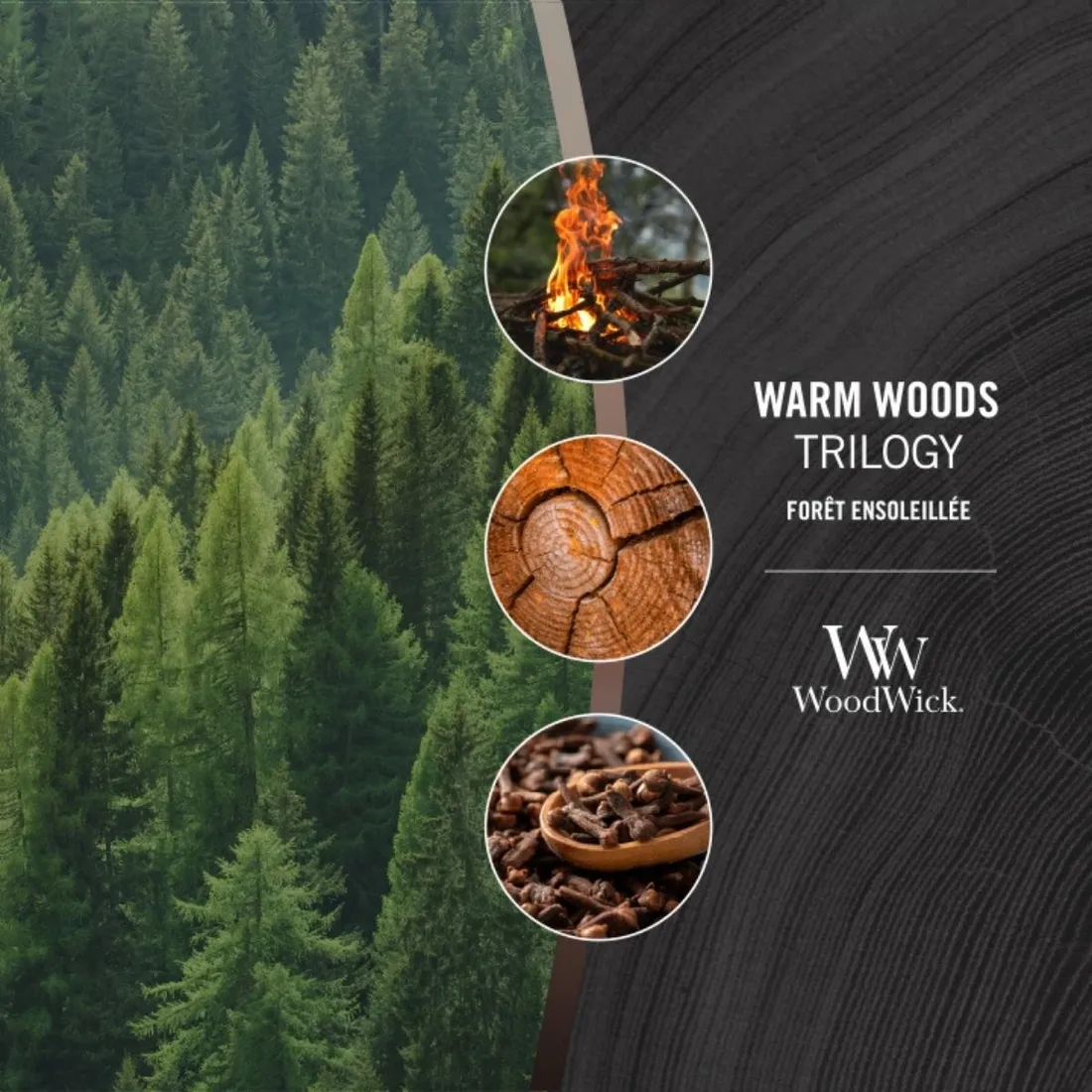 woodwick-trilogy-elipsa-warm-woods