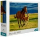 puzzle-1000-teaching-the-foal-kod-producenta-dob1149