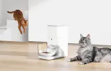 podajnik-karmy-catlink-automatic-feeder-fresh-2-luxury-stan-nowy
