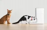 podajnik-karmy-catlink-automatic-feeder-fresh-2-luxury-kolor-bialy