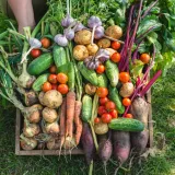 maczka-bazaltowa-target-8-kg-waga-z-opakowaniem-8-kg