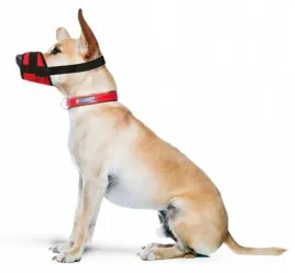 kaganiec-dla-psa-zabezpieczajacy-przed-pogryzieniem-grande-finale-rozmiar-3