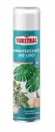 substral-nablyszczacz-do-lisci-600ml-zapobiega-osiadaniu-kurzu-na-roslinie