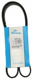 dayco-6pk1173-pasek-klinowy-wielorowkowy
